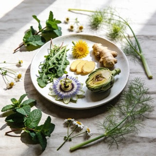 10 Herbal Extracts